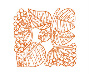 Whimsical hand drawn viburnum branch plant with berries. Wild nature, forest.