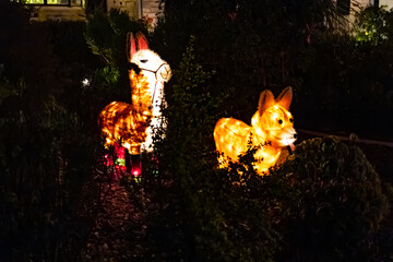 Various outdoor Christmas decorations: a lama and a dog
