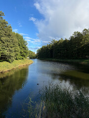 Beautiful landscape, small pond in the forest.