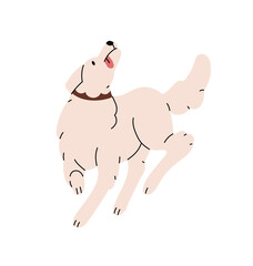 Obedient service dog with collar goes and looks up. Fluffy puppy with sticking tongue follows commands. Cute pet plays, pup has fun while walking. Flat isolated vector illustration on white background