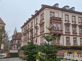 Obraz premium A beautiful street in the city 