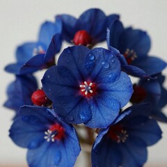 Where Petals Hold the Rain