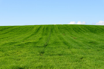 秋の美瑛の風景