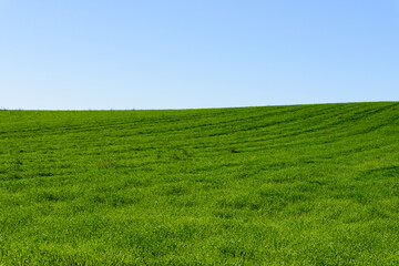秋の美瑛の風景