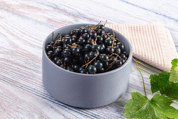 Ripe fresh black currants branches