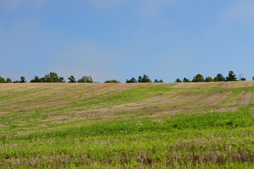 秋の美瑛の風景
