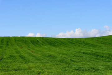 秋の美瑛の風景