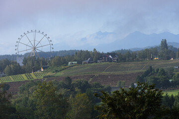 秋の美瑛の風景