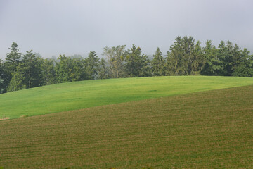 秋の美瑛の風景