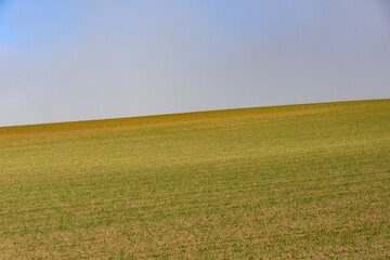 秋の美瑛の風景