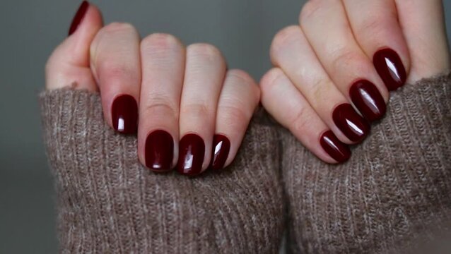 Female hands with dark burgundy red nails 