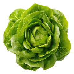 Fototapeta premium Fresh whole butterhead lettuce head top view isolated on transparent background.