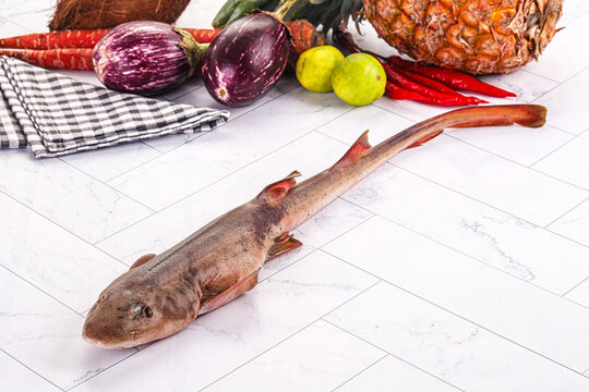 Raw indian catshark for cooking