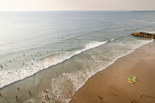 Aerial view of golden sands meeting the turquoise sea, where surfers dot the waves like playful seals along the coast, Anglet, Nouvelle-Aquitaine, France.