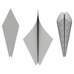 Three geometric shapes. Fine line pattern. Abstract Vector structure. Black white graphic.