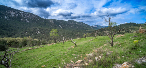Ravine Els Estrets del Ballestar Trekking Path, Ballestar, La Tenencia de Benifasar Natural Park, Ballestar, Castell&oacute;n, Comunidad Valenciana, Spain, Europe