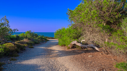 Finca P&uacute;blica de Son Real, Natura 2000, Pen&iacute;nsula de Llevant Natural Park, Mallorca, Balearic Islands, Spain, Europe