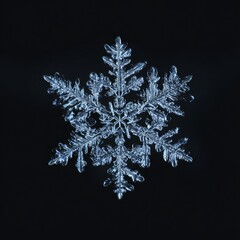 snowflakes on black background