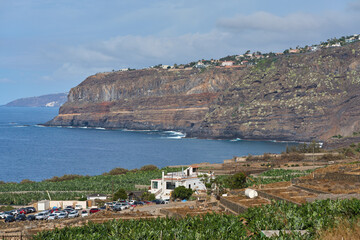 Coastal cliffs and banana plantation in Tenerife