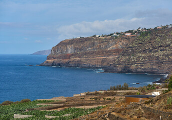 Volcanic cliffs along Tenerife coastline with banana plantation in foreground
