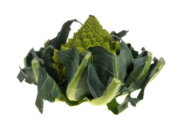 Chou romanesco cru en gros plan isol&eacute; sur fond blanc