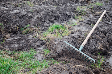 Metal garden rake with a wooden handle lying on wet, muddy soil outdoors.