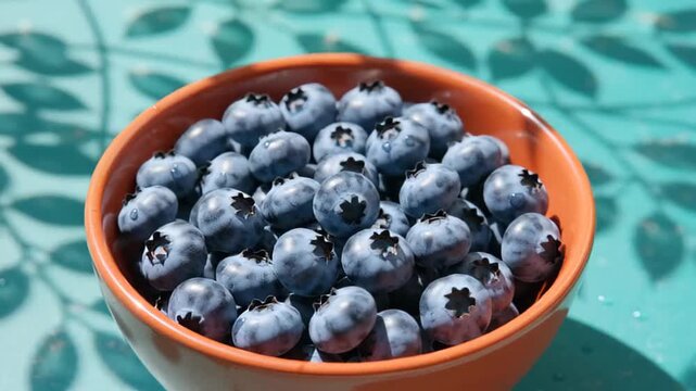 Close-up of fresh blueberries in a terracotta bowl on a teal table, with soft shadows of leaves creating an artistic pattern