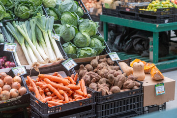 vegetables at the market