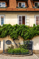 The over 400-year-old Zametovka grapevine growing outside the Old Vine House, recognized as the world&rsquo;s oldest vine, along the Lent riverside in Maribor, Slovenia.