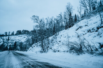 winter road through the forest