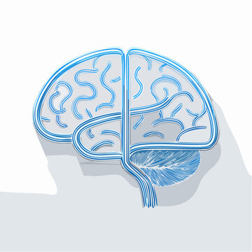 Human brain illustration with neural details for science and medical concept
