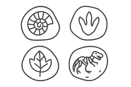 Ammonite, dinosaur skeleton, footprint, and ancient leaf imprint fossils set