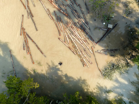Aerial view of logs floating in the muddy water, reflecting the pale sky, surrounded by green trees, Bagerhat, Khulna Division, Bangladesh.