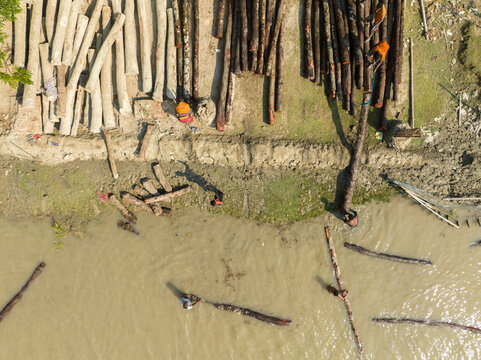 Aerial view of logs stacked on the sandy bank and floating in the muddy river, creating a scene of labor and transport, Bagerhat, Khulna Division, Bangladesh.
