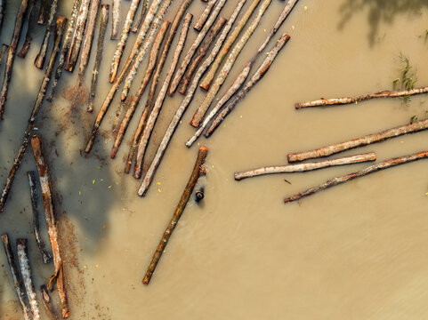 Aerial view of logs floating in the muddy water, Bagerhat, Khulna Division, Bangladesh.
