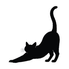 A sleek black cat stretches its body in a graceful pose