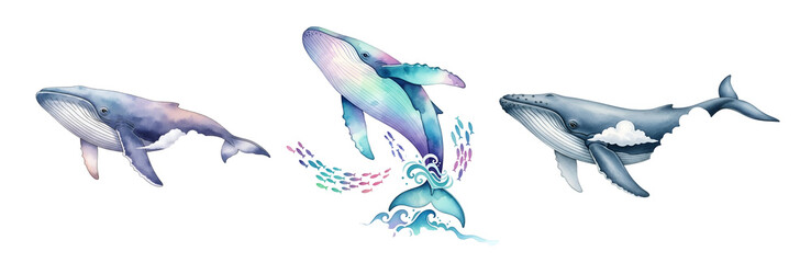 Three watercolor whales in different poses with artistic elements on a plain colored canvas view on transparent background
