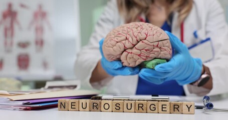 Wooden blocks spell word Neurosurgery on medical desk. Woman doctor in gloves holds brain model while explaining surgery risk for patient in clinic
