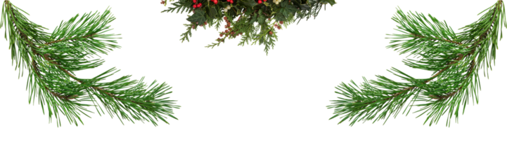 Festive Greenery Design Evergreen Garland Elements for Holiday Seasonal Decor  Celebration Borders transparent background