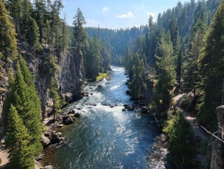 Scenic River Flowing Through Dense Pine Forest Canyon.