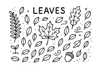A charming set of hand-drawn outline leaves, including maple, oak, various leaf shapes, a sprout, and an acorn, with decorative dots and swirls against a white background — stock vector.