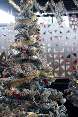Christmas tree for decorating during the New Year festival