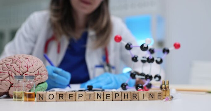 Wooden blocks on desk spell word Norepinephrine near brain and molecular models. Woman neurologist writes notes explaining stress hormone signaling