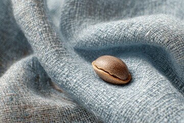Single Brown Seed on Rippled Blue Fabric