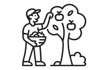 Man harvesting ripe apples from fruit tree holding basket of fresh produce