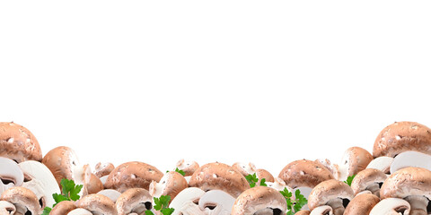 Fresh mushrooms isolated on a white background