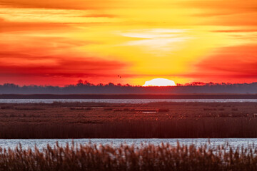 Zum Sonnenaufgang am Bodden vor Zingst. © Karl