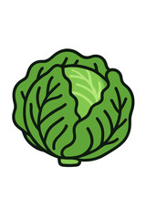 Green cabbage vegetable icon featuring thick outline and subtle shading