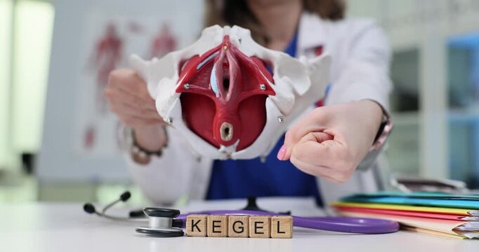 Word Kegel on wooden cubes and woman doctor shows work of pelvis muscles using fist. Physician recommends exercise to support bladder health