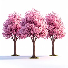 Obraz premium Three flowering trees with vibrant pink blossoms (1)